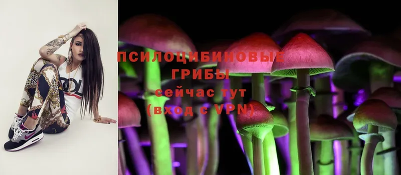 Галлюциногенные грибы Psilocybe  Олонец 